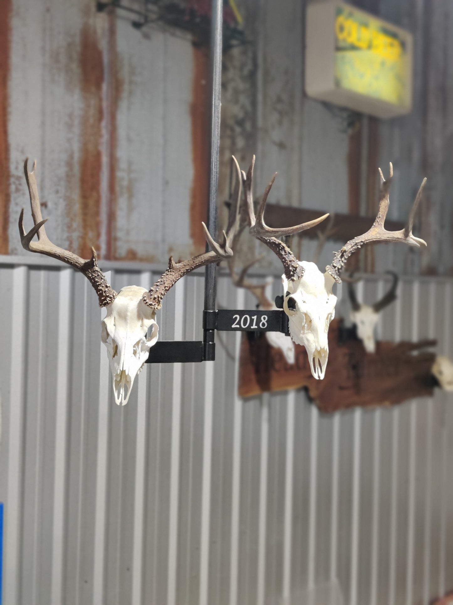 Ceiling mount