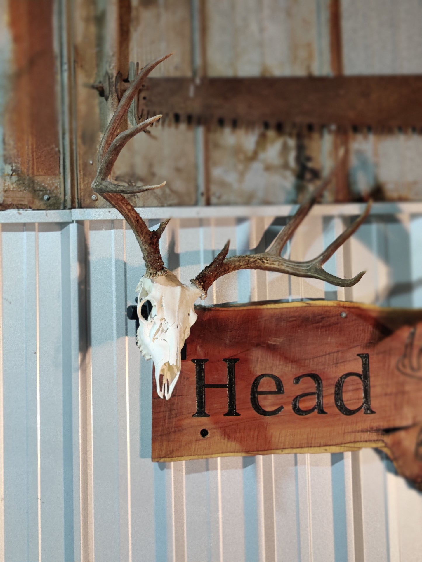 Head Turner Original