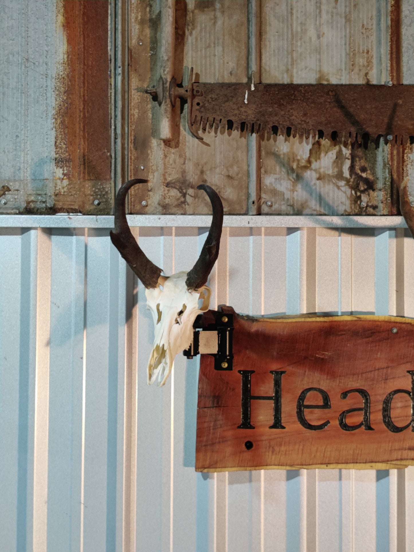 Head Turner Original