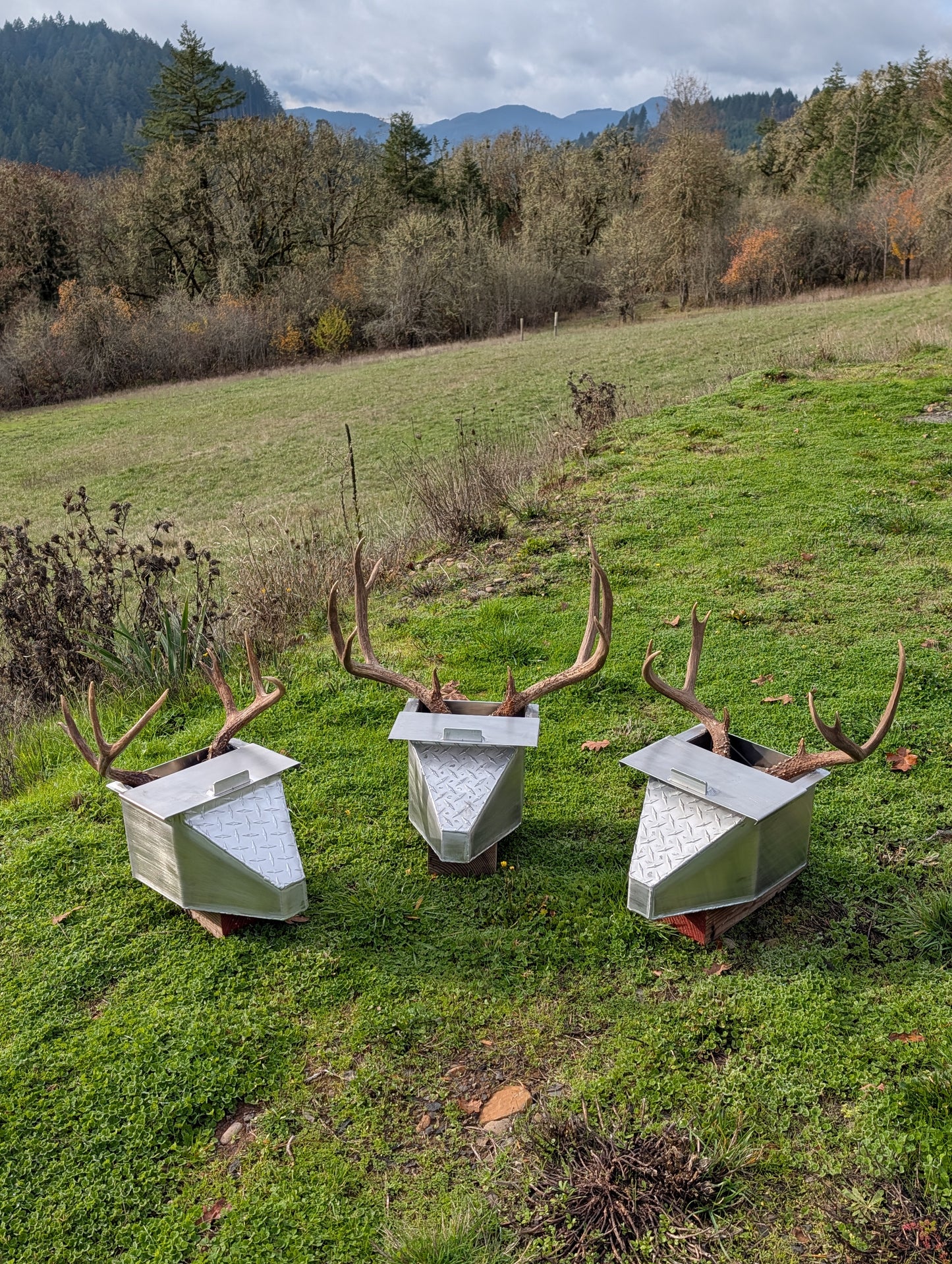 Deer Skull Pot Limited Stock 2-3 week lead time Built to Order