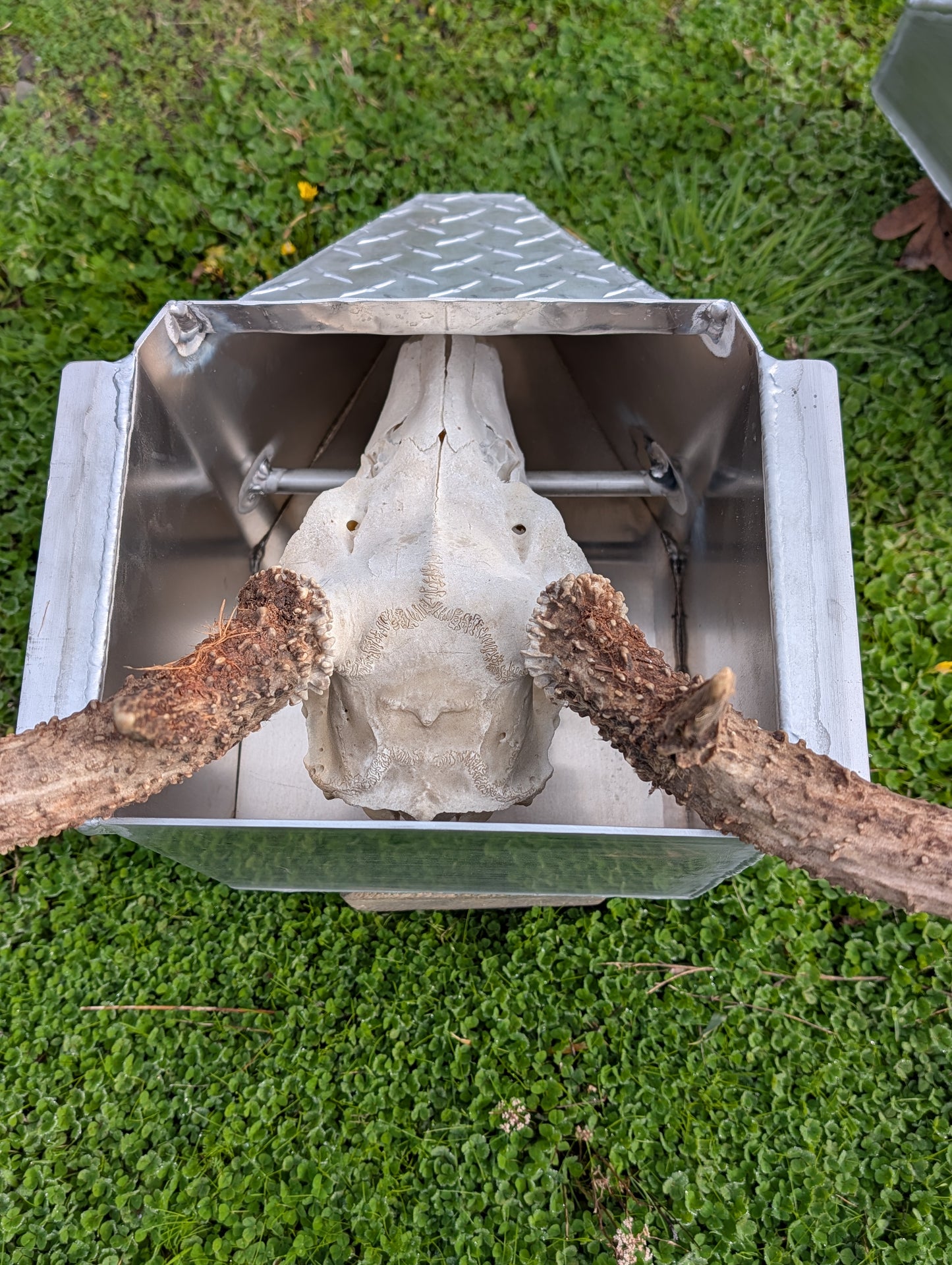 Deer Skull Pot Limited Stock 2-3 week lead time Built to Order