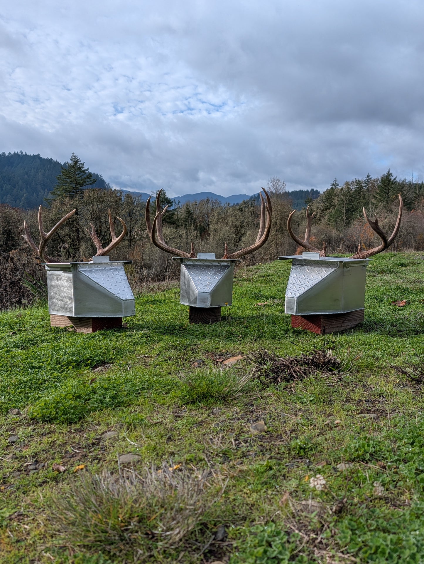 Deer Skull Pot Limited Stock 2-3 week lead time Built to Order