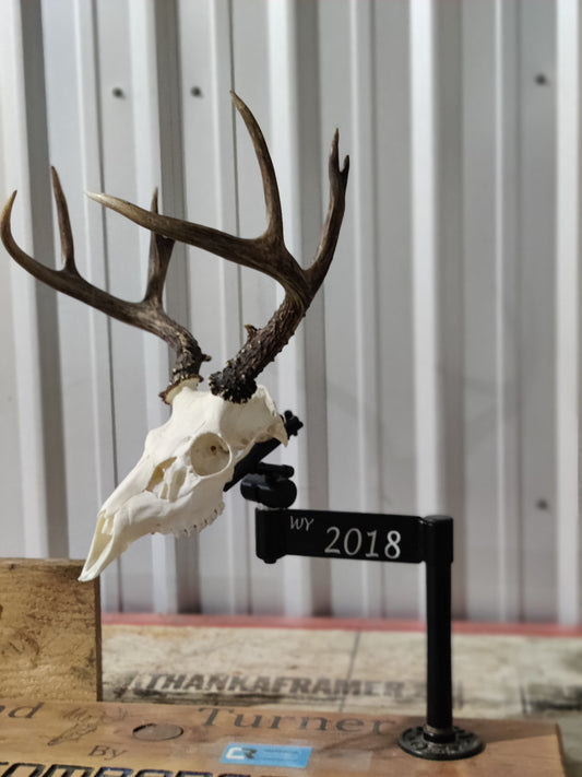 Desk Mount