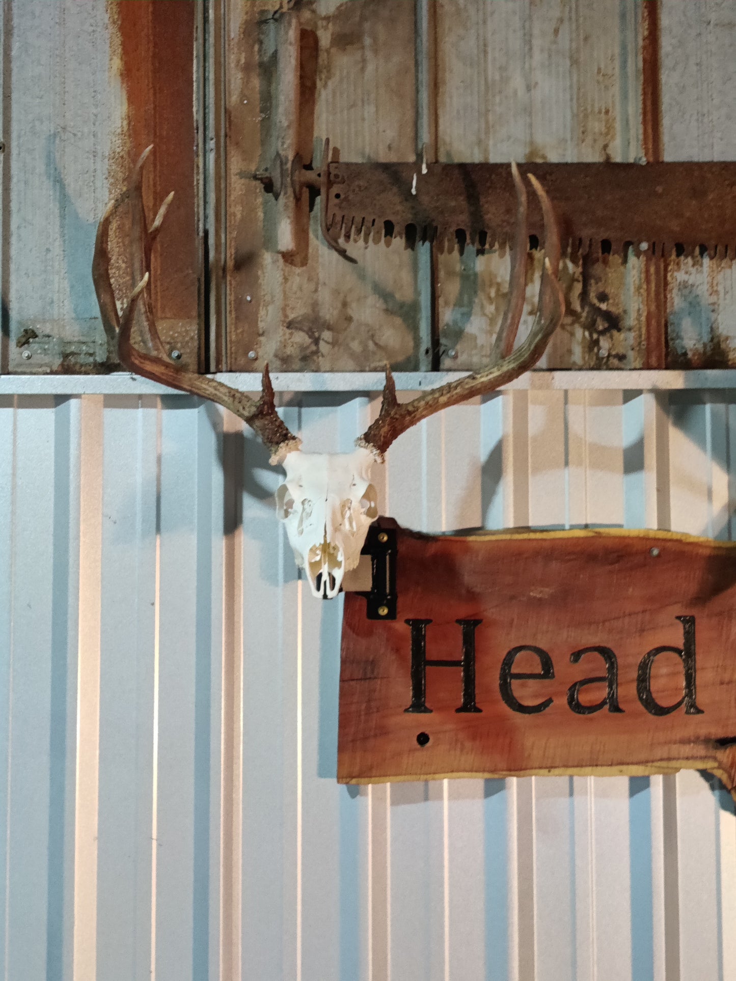 Head Turner Original